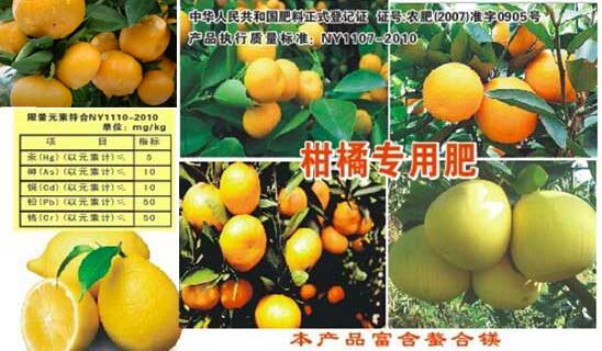 柑橘专用肥